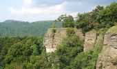 Tocht Te voet Auetal - HO7 - Hohenstein Route - Photo 9