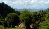 Excursión Senderismo Le Vauclin - PETITE BOUCLE DU JARDIN DE MONTAGNE - Photo 6