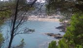 Trail Walking Begur - platja de Pals - Cap Begur - Photo 12