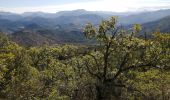 Tocht Stappen Condorcet - Le cougoir par St pons - Photo 13