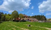 Excursión Senderismo Le Hohwald - Hohwald - Rothlach - Neuntelstein - Photo 8