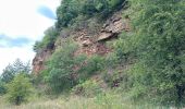 Tour Wandern Esch an der Alzette - Terres Rouges Esch Ellergron 18 km - Photo 5