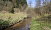 Randonnée A pied Heinrichsthaler Forst - Nordic Walking 3 Heigenbrücken - Photo 9