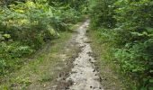 Tour Wandern Milly-la-Forêt - Milly-la-Forêt - Forêt domaniale des Trois pignons - Curiosités  - Photo 2