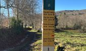 Trail  Saint-Julien-en-Vercors - Moulin marquis  - Photo 2