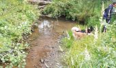 Trail Walking La Roche-en-Ardenne - vecmont canin 01 - Photo 3