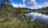 Trail On foot Seeboden am Millstätter See - 23: Samkt Wolfgang - Egelsee - Photo 3