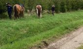 Tocht Paardrijden Hériménil - Élodie 2 tivio - Photo 6