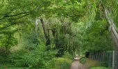 Trail Walking Giverny - Giverny Le lézard vert - Photo 3