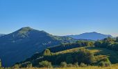 Percorso A piedi Carrega Ligure - Anello Borbera - Spinti 7° Tappa Capanne di Carrega – Monte Antola - Photo 4
