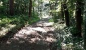 Trail Walking Saou - saou bergerie patuel auberge muletiers  - Photo 4