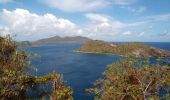 Trail Walking Terre-de-Haut - Les Saintes - J2 - Photo 19