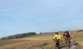 Excursión Senderismo Gerpinnes - Les saules têtards  - Photo 1