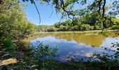 Excursión Senderismo La Chapelle-sur-Erdre - Grand tour autour de Sucé-sur-Erdre - Photo 5