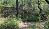 Trail Walking Montségur-sur-Lauzon - Montsegur bassin des druides raccourci.  - Photo 1