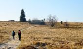 Tocht Stappen Le Hohwald - 2018-11-17 Balade Rocher Edelweiss  - Photo 1