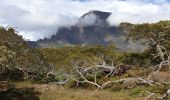 Tour Wandern La Possession - Boucle Marla - La Nouvelle depuis le col des Bœufs - Photo 13