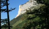 Excursión Senderismo Entremont-le-Vieux - Le Granier - Photo 1