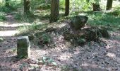 Tour Zu Fuß Zobten am Berge - Szlak archeologiczny - Photo 9