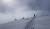 Trail Snowshoes Bouvante - Les gagères en raquettes - Photo 11