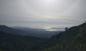 Tocht Noords wandelen Toulon - château vallon  - Photo 8