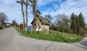 Trail Walking Bertrix - Auby sur Semois 140324 - Photo 2