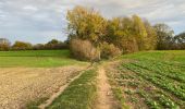 Tour Wandern Weset - Lanaye 20 km - Photo 18