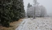 Randonnée Marche Waimes - Sur les traces de l'ultratrail 🥾 - Photo 5