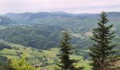 Randonnée Marche Villard-de-Lans - La moliere - col d'herbouilly - pot du loup - crête - Photo 15