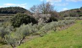 Tocht Stappen La Valette-du-Var - SityTrail - Boucle: Ripelle - Source Ripelle - Tourris - Grottes de sables - Carrière aux fourmis - Ruines des olivières - Touravelle - Ripelle - Photo 10