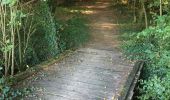 Trail Walking Néant-sur-Yvel - Autour des étangs à partir du gîte de tante Phonsine - Photo 12