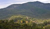 Excursión Senderismo Sainte-Maxime - Chapelle St Donat - Marri Vallat - Le Revest - Col de Grateloup - Photo 5