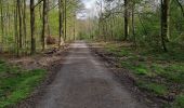 Tocht Stappen Bergen - ballade bois du Rapois - Photo 1