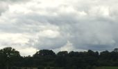 Tocht Stappen Durbuy - Les Dolmens de Wéris  - Photo 9