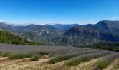 Trail Walking Le Poët-Sigillat - poët Sigillat-col de Soubeyrand-Tarendol - Photo 11