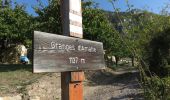 Trail Walking Fontan - Berghe - Cime Corvo - Photo 3