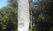 Percorso Marcia Lussan - PF-Lussan - La Lèque,le menhir,les Concluses - Photo 1