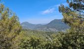 Randonnée Marche Évenos - Toulon Col du corps de garde Mont Caume - Photo 12