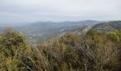 Tour Wandern Beaumont-du-Ventoux - le sommet de la plate - Photo 2