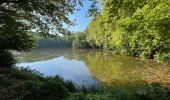 Randonnée Marche Meudon - forêt domaniale de Meudon (1) - Photo 6