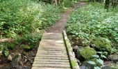 Trail Walking Metzeral - lac de schiessrothried par vallée de la wormsa  - Photo 11