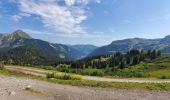 Randonnée Marche Châtel - Boucle Pré  la Joux - Col de Bachassaux - Photo 8