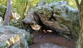 Trail Walking Fontainebleau - Sentier Denecourt 1 - Photo 15