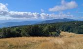 Trail Walking Haut Valromey - RETORD: LES BERGONNES - FERME DE RETORD - Photo 3