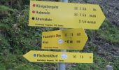 Tour Zu Fuß Dienten am Hochkönig - Sonnberg-Königsbergalm - Photo 2