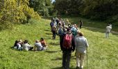 Randonnée Marche Lamanon - Cales - Photo 13