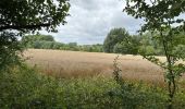 Tocht Stappen Arras - Arras Citadelles Grands Prés 16,5 km - Photo 12