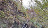 Trail Walking Bouillon - Boucle Corbion - Poupehan - Rochehaut - Crêtes de Frahan - Corbion - Photo 9