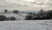 Randonnée Marche Aubel - A travers les campagnes d'Aubel  - Photo 6