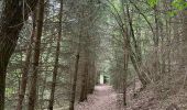 Randonnée Marche Clervaux - Escapardenne Eisleck Trail: Clervaux - Moulin d'Asselborn - Photo 1